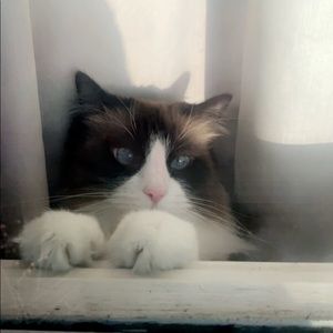 Meet your Posher, Clara